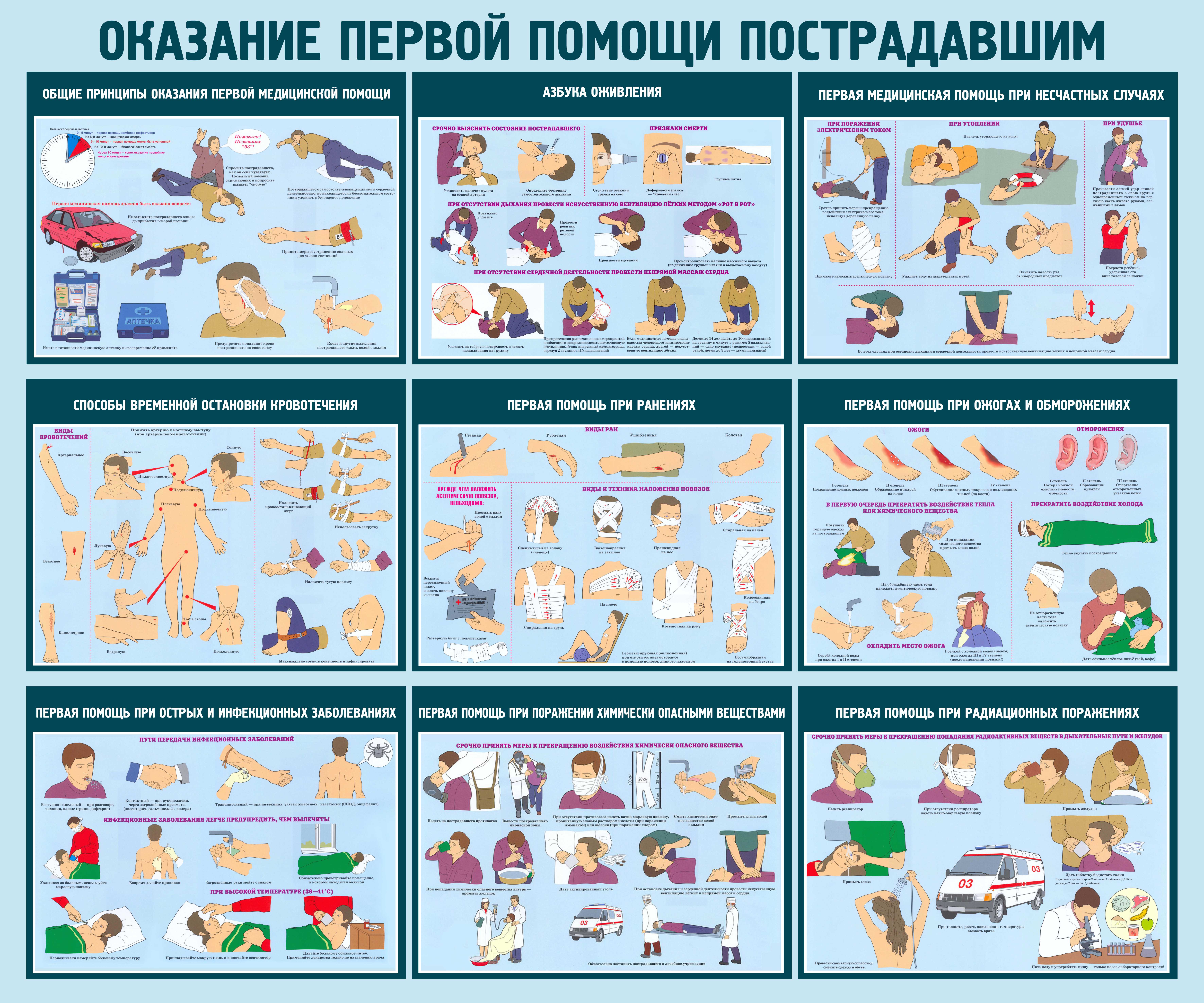 Медицинские Плакаты Купить В Интернет Магазине