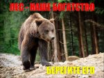 Аншлаг "Лес наше богатство-берегите его"